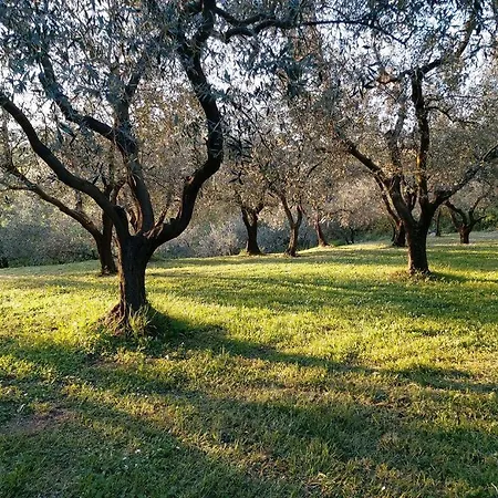 Oliveto Mare Carso * Sistiana