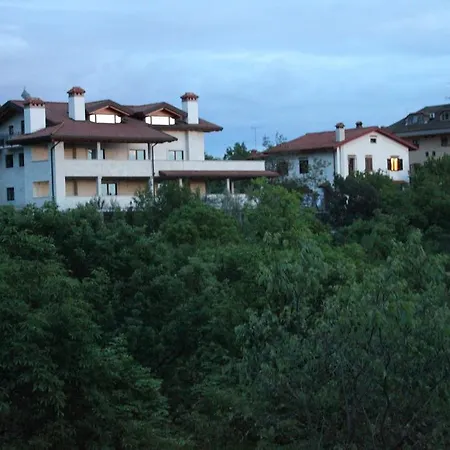 Oliveto Mare Carso *