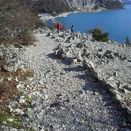 Oliveto Mare Carso *