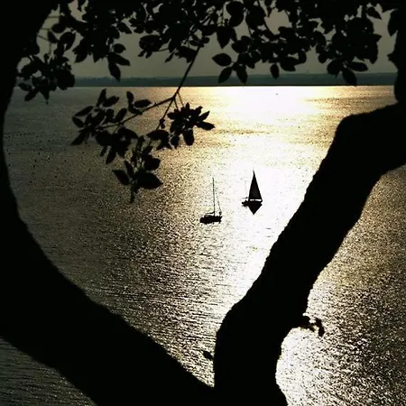 Oliveto Mare Carso Σπίτι διακοπών *