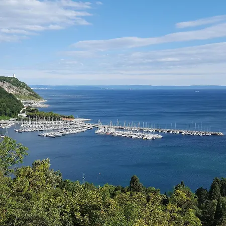 Oliveto Mare Carso *