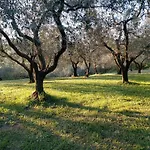 Oliveto Mare Carso * Sistiana