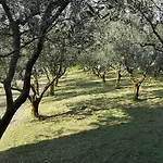 Feriehus Oliveto Mare Carso *
