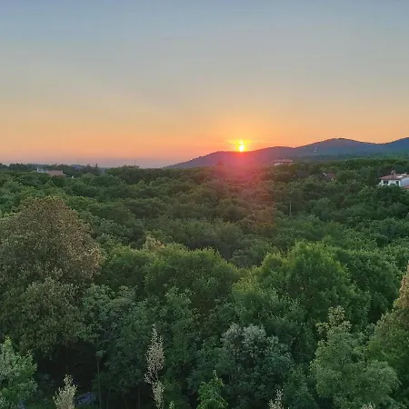 Oliveto Mare Carso *