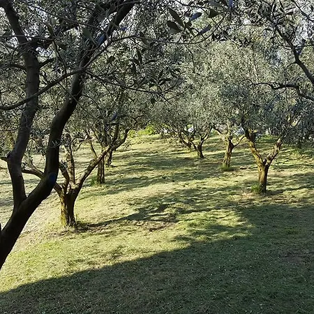 Hébergement de vacances Oliveto Mare Carso *