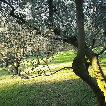 Holiday home Oliveto Mare Carso *