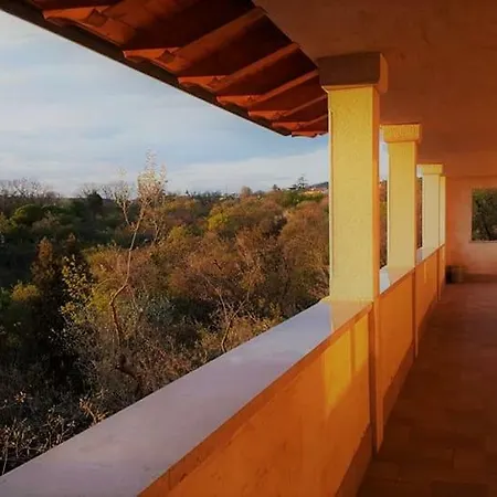 Oliveto Mare Carso *